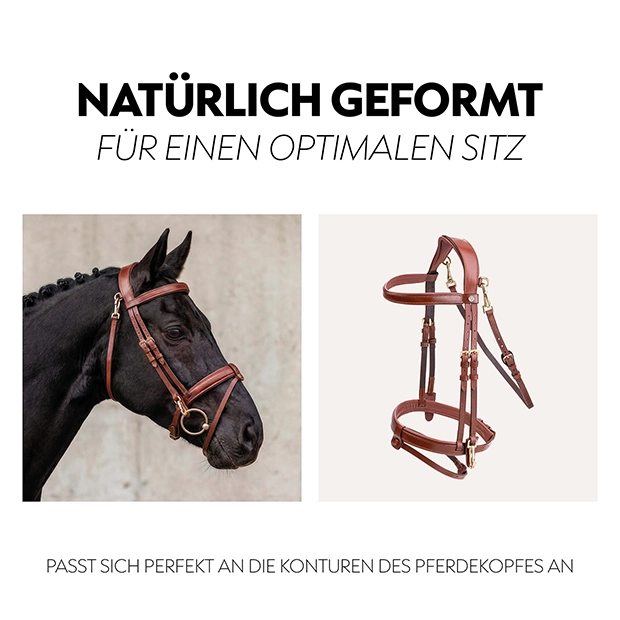 Englisch kombinierte Trense "Berlin" mit Zügel