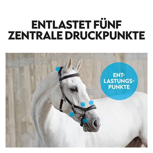 English combined bridle "York" with reins