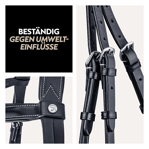 Detailansicht einer schwarzen mexikanischen Trense mit verstellbaren Riemen und silbernen Beschlägen, die gegen Umwelteinflüsse beständig ist.