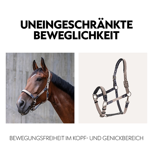 Ein braunes Pferd trägt ein anatomisches Halfter, daneben ist ein beiges Halfter abgebildet, das für Bewegungsfreiheit im Kopf, und Genickbereich sorgt.