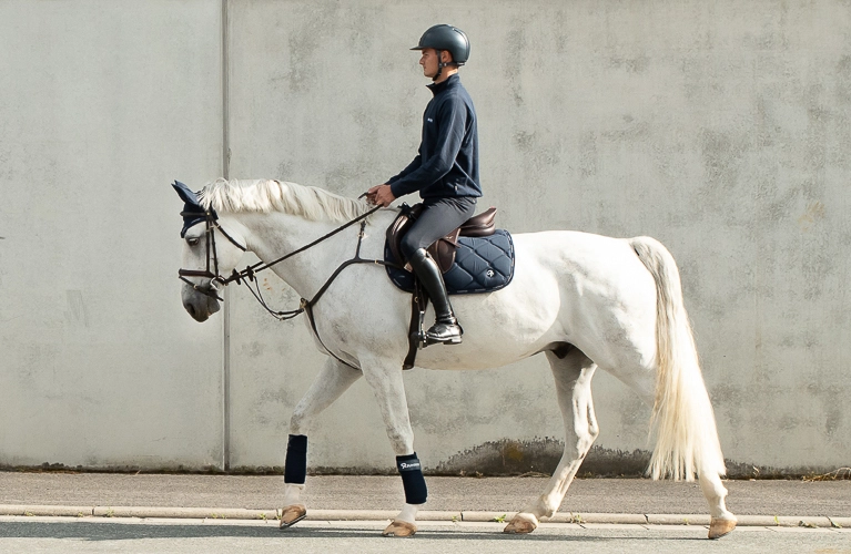 Springschabracke Ein Reiter sitzt auf einem weißen Pferd mit blauer Schabracke, passender Abschwitzdecke und Fliegenohren und reitet an einer hellen Betonwand entlang