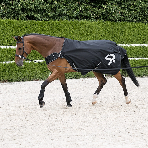 Ein Pferd wird longiert und trägt eine schwarze Longierdecke von Sunride